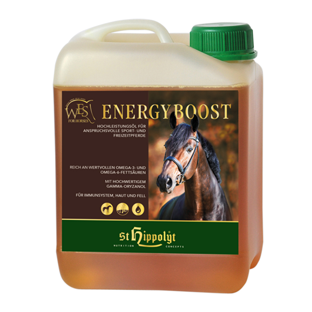 Produktansicht - St.Hippolyt - WES Energy Boost