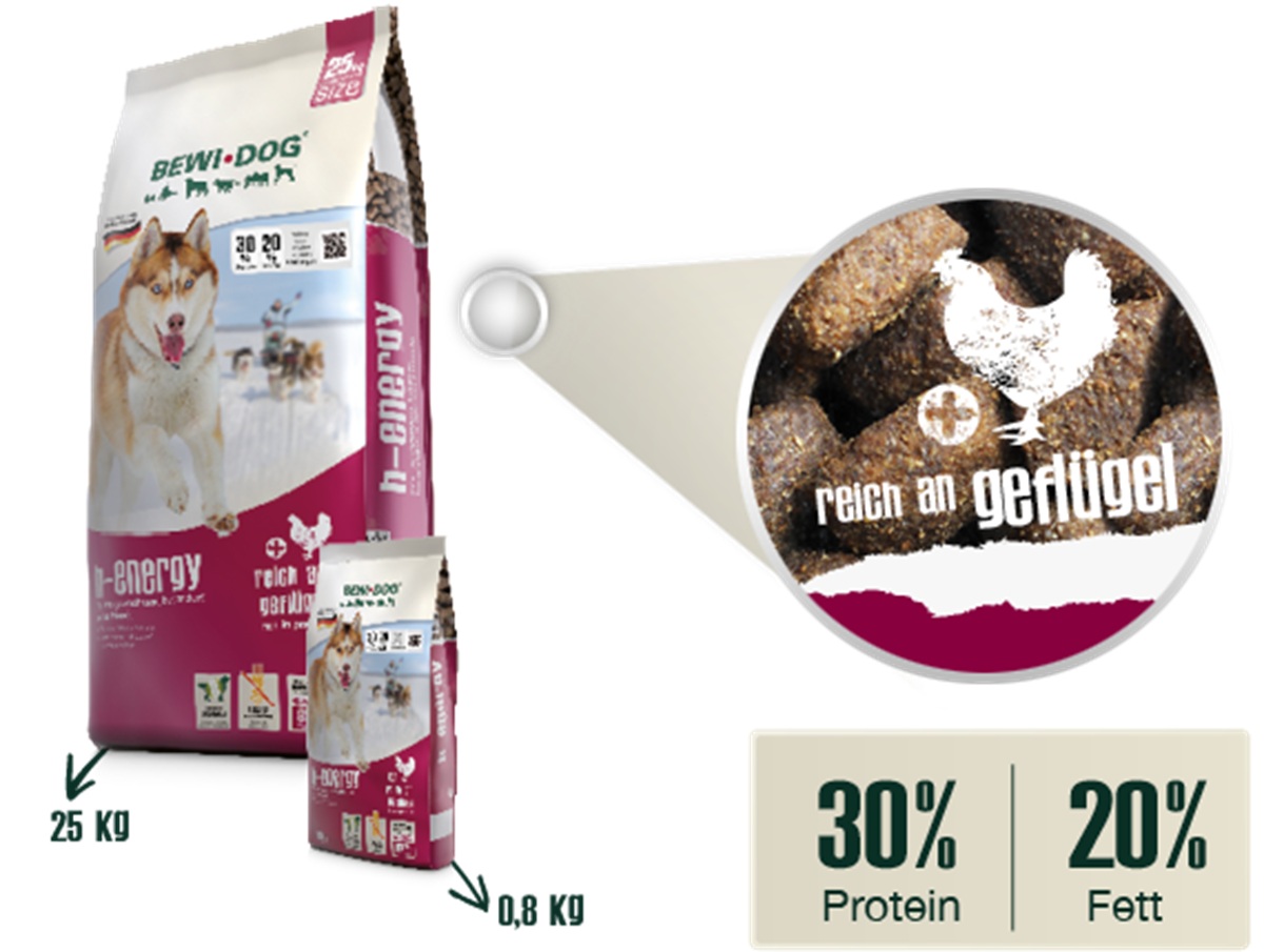 Produktansicht - BewiDog - H-Energy