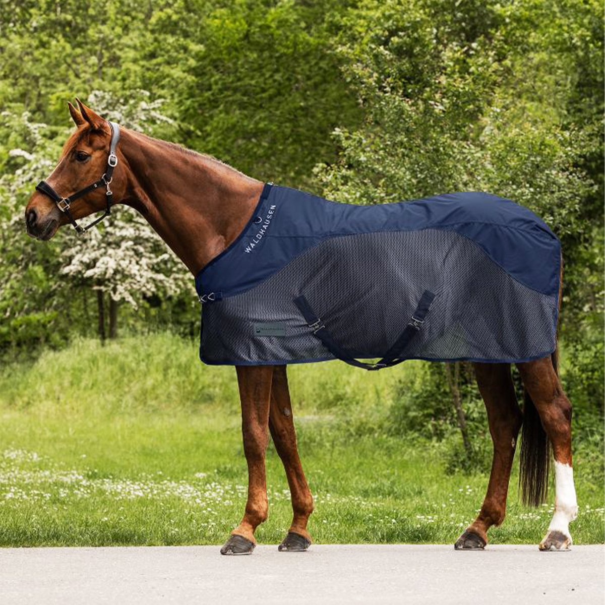 Produktansicht - Waldhausen - Regen-Fliegendecke Comfort