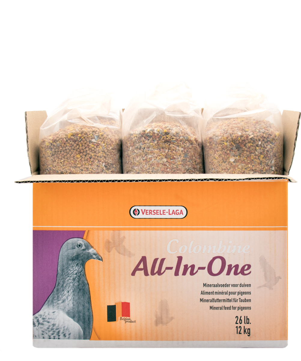 All-In-One