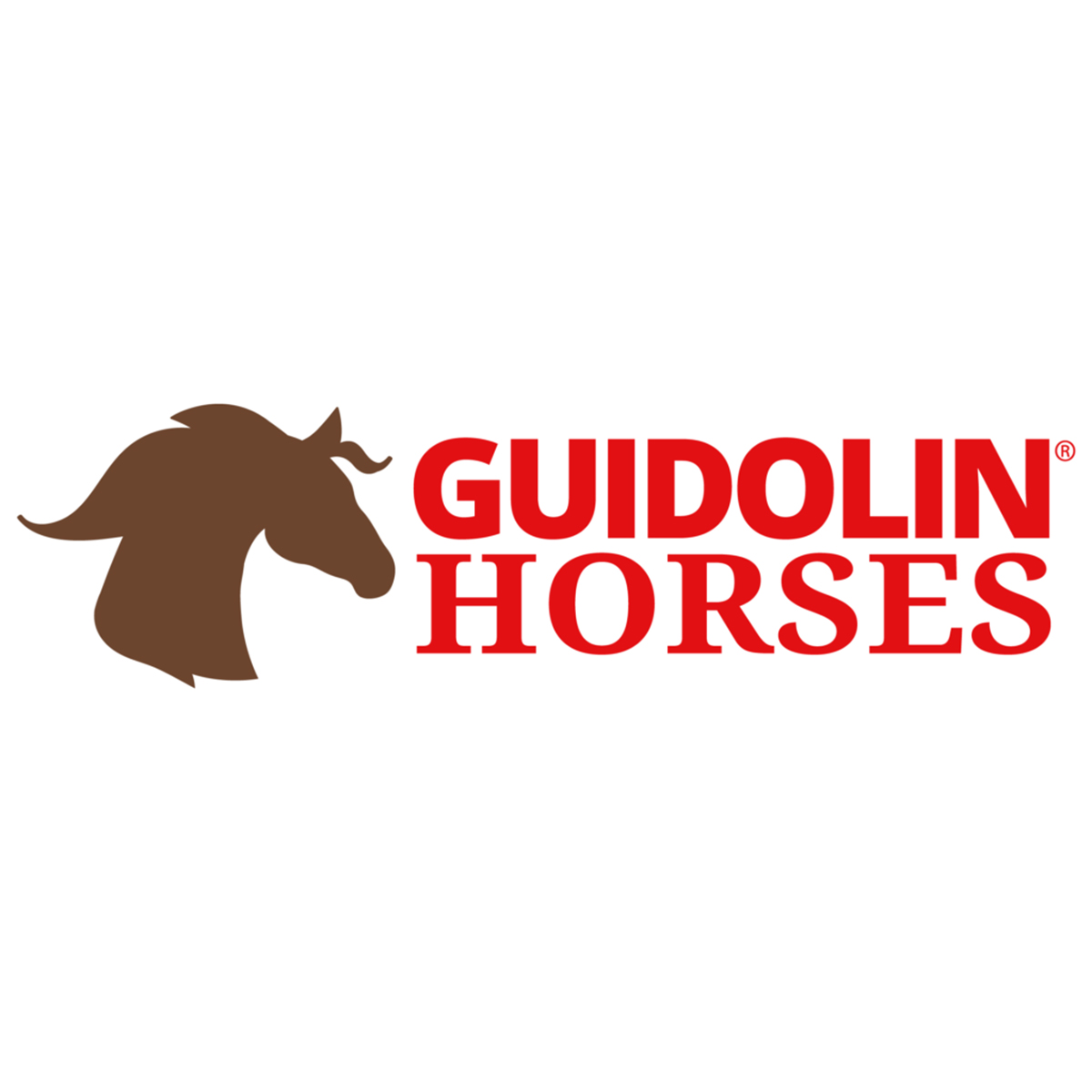 Bild - guidolin-horses_logo_shop