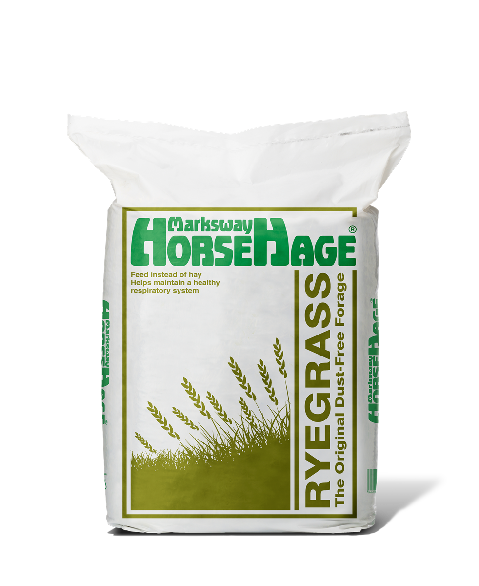 Ryegrass