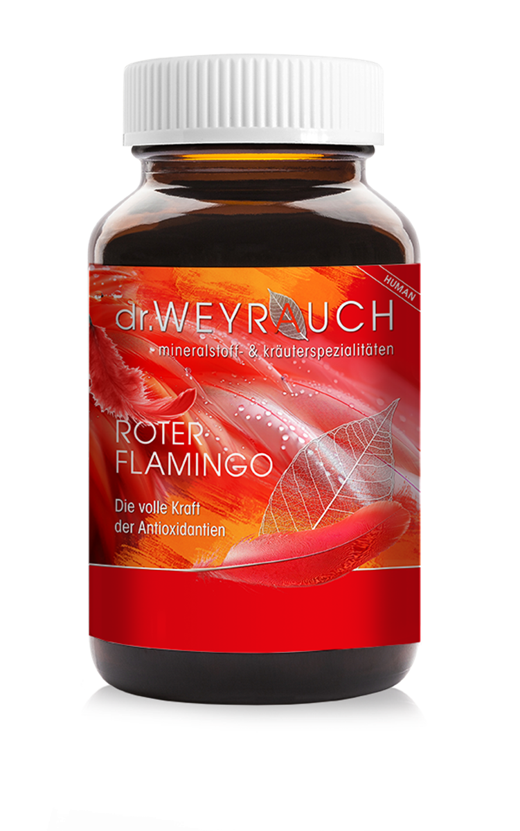 Nr. 40 Roter Flamingo Human
