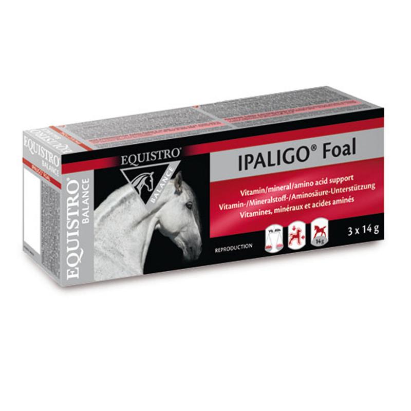 Produktansicht - EQUISTRO - Ipaligo foal Oraldoser