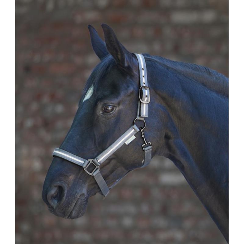 Waldhausen Halfter Reflex Stripe am Pferd
