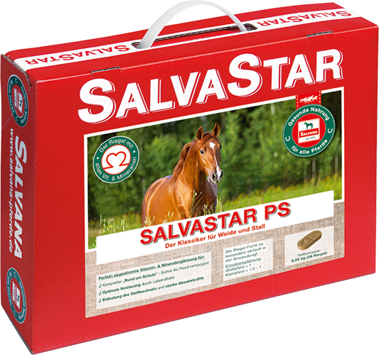 Salvana SalvaStar PS Verpackung