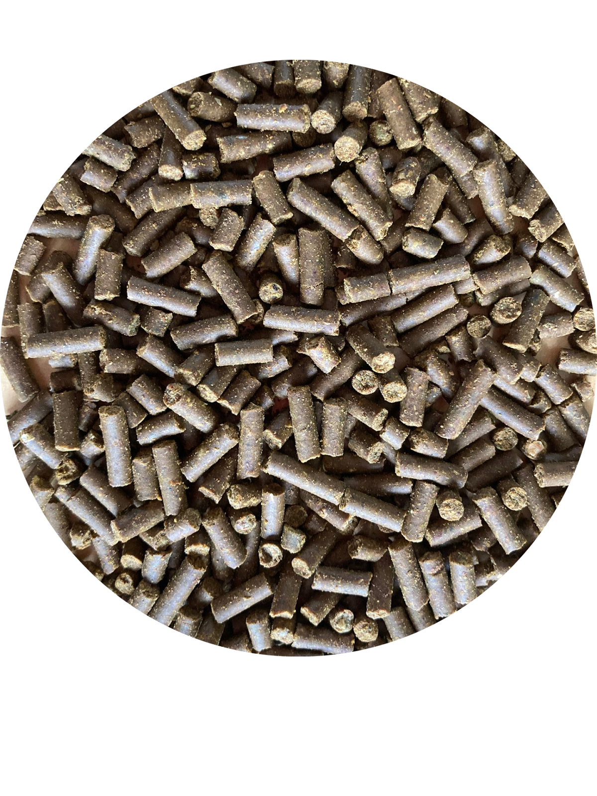 Produktansicht - Atcom - Hepar-B