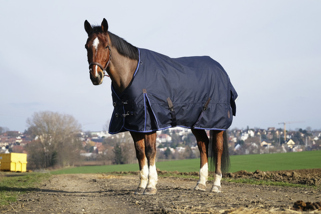 Produktansicht - EQUITHÈME - Classic Outdoordecke 1200D