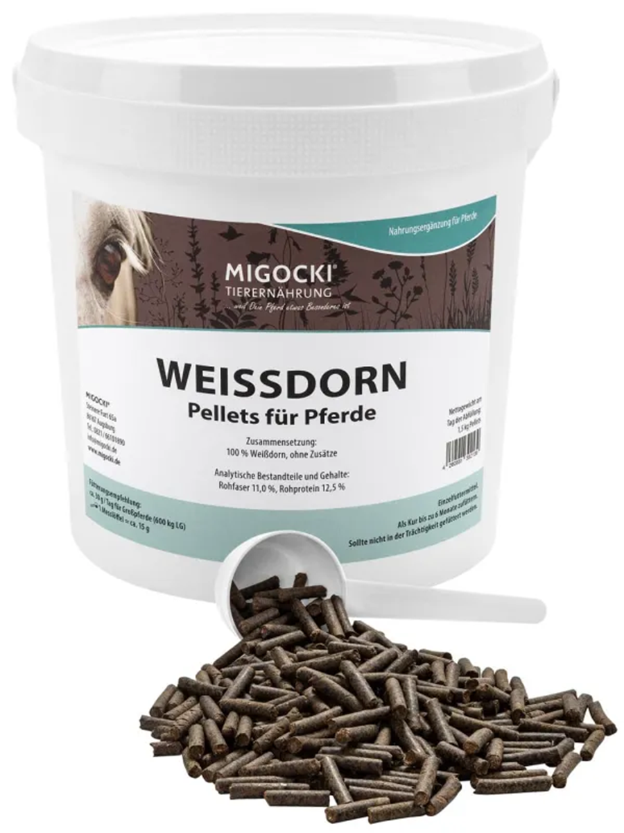 WEIßDORN für Pferde