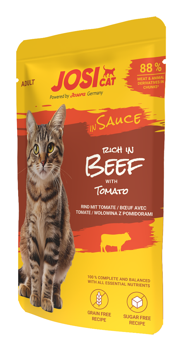 rich in beef in sauce