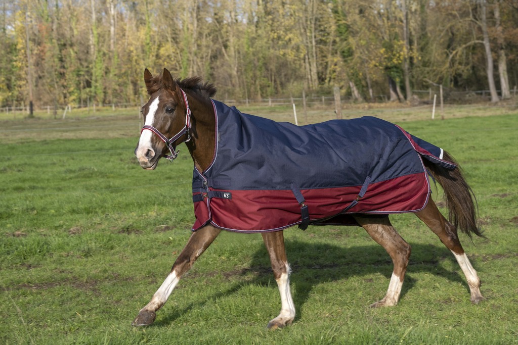Produktansicht - EQUITHÈME - Tyrex Outdoordecke High Neck 1200D