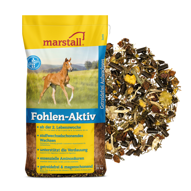 Produktansicht - marstall - Fohlen-Aktiv