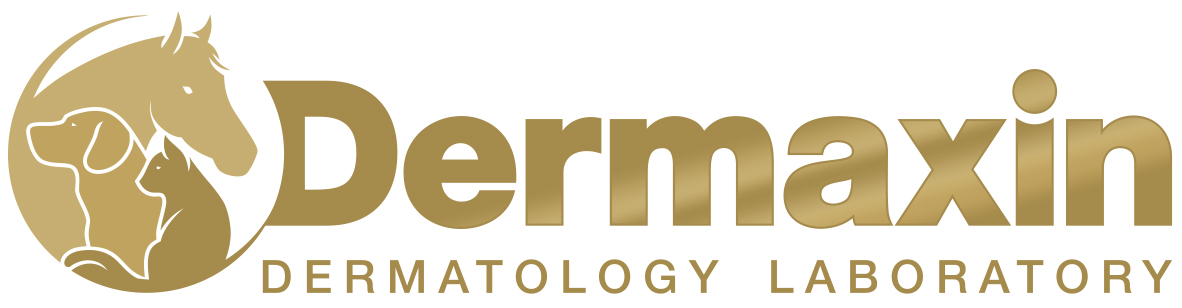 Bild - dermaxin