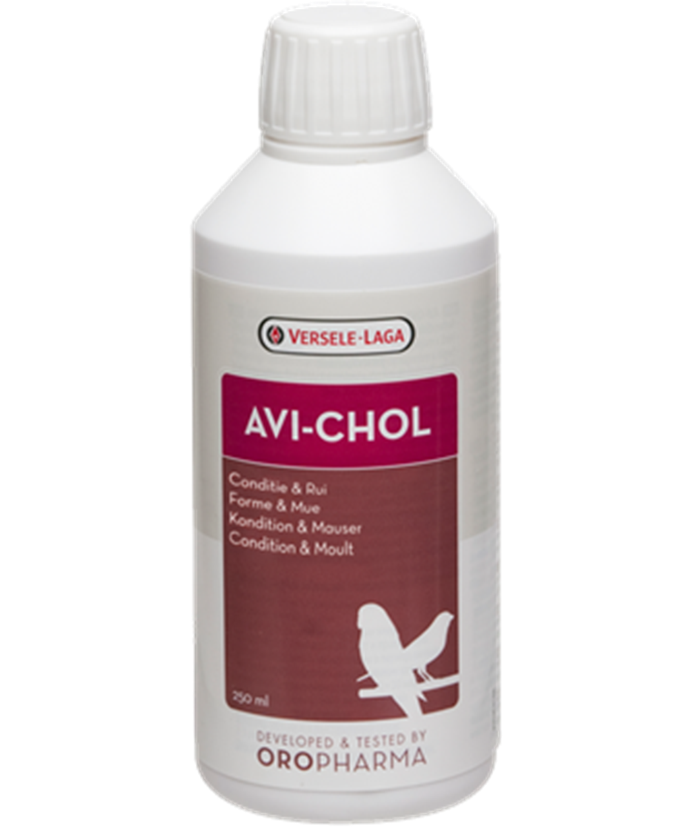 Avi-Chol