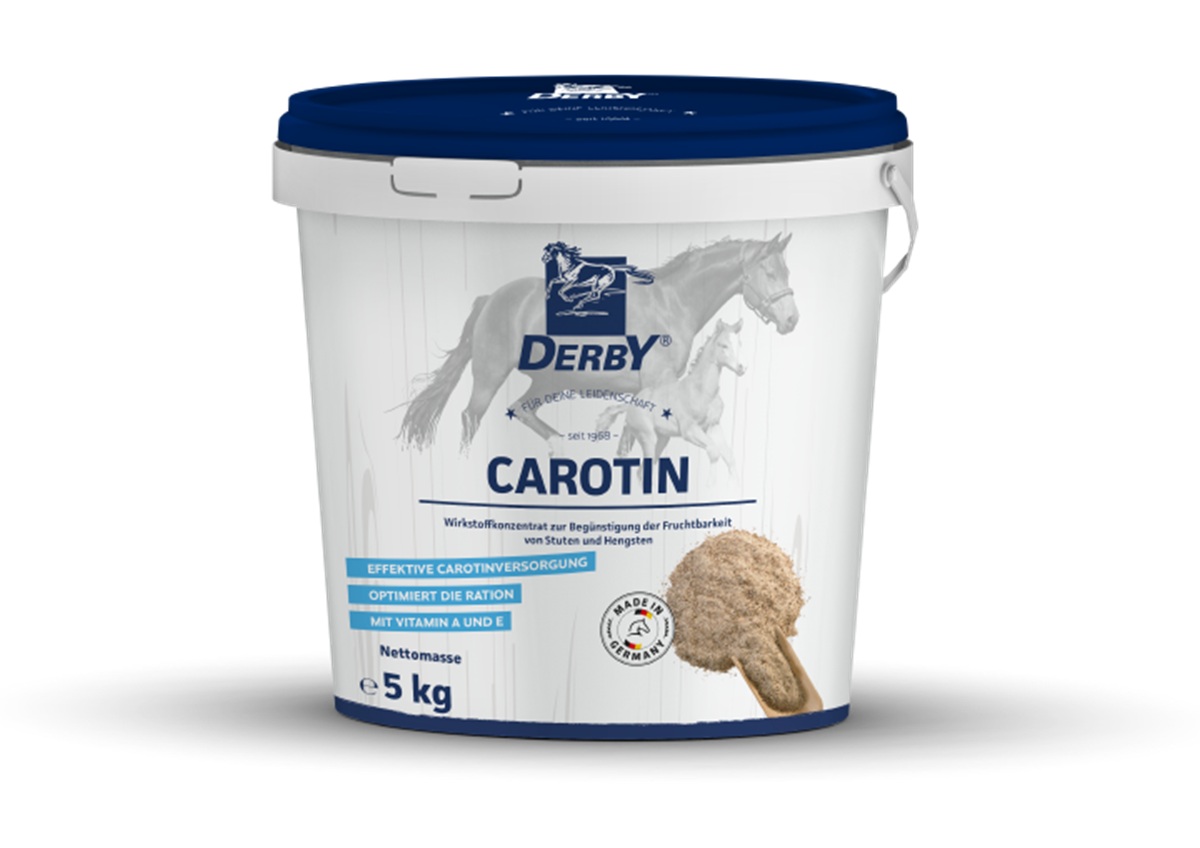 Produktansicht - Derby - Carotin