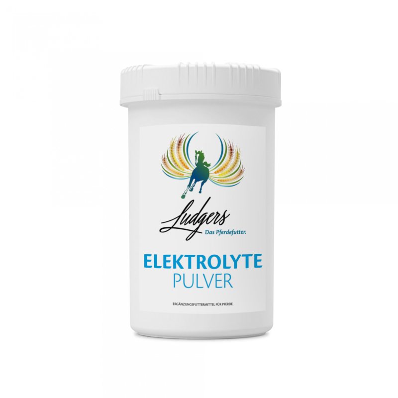 Ludgers Elektrolyte Pulver 2,2 kg