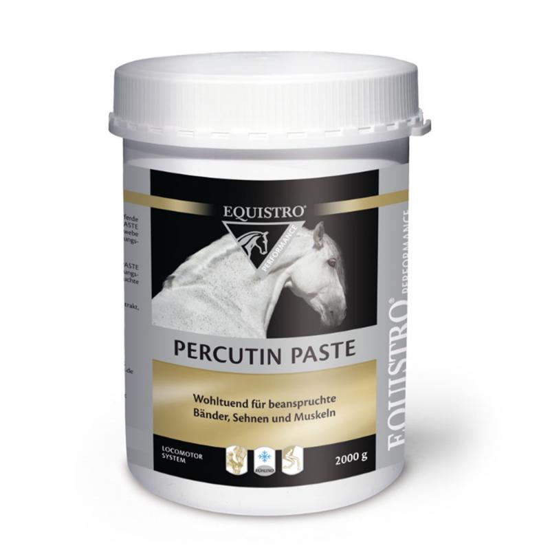 Produktansicht - EQUISTRO - Percutin-Paste