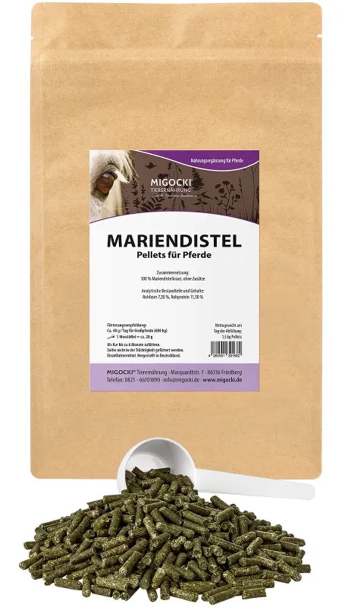 MARIENDISTEL für Pferde