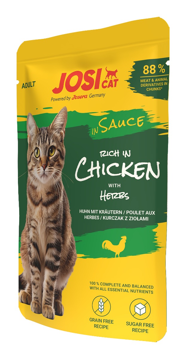 rich in chicken in sauce