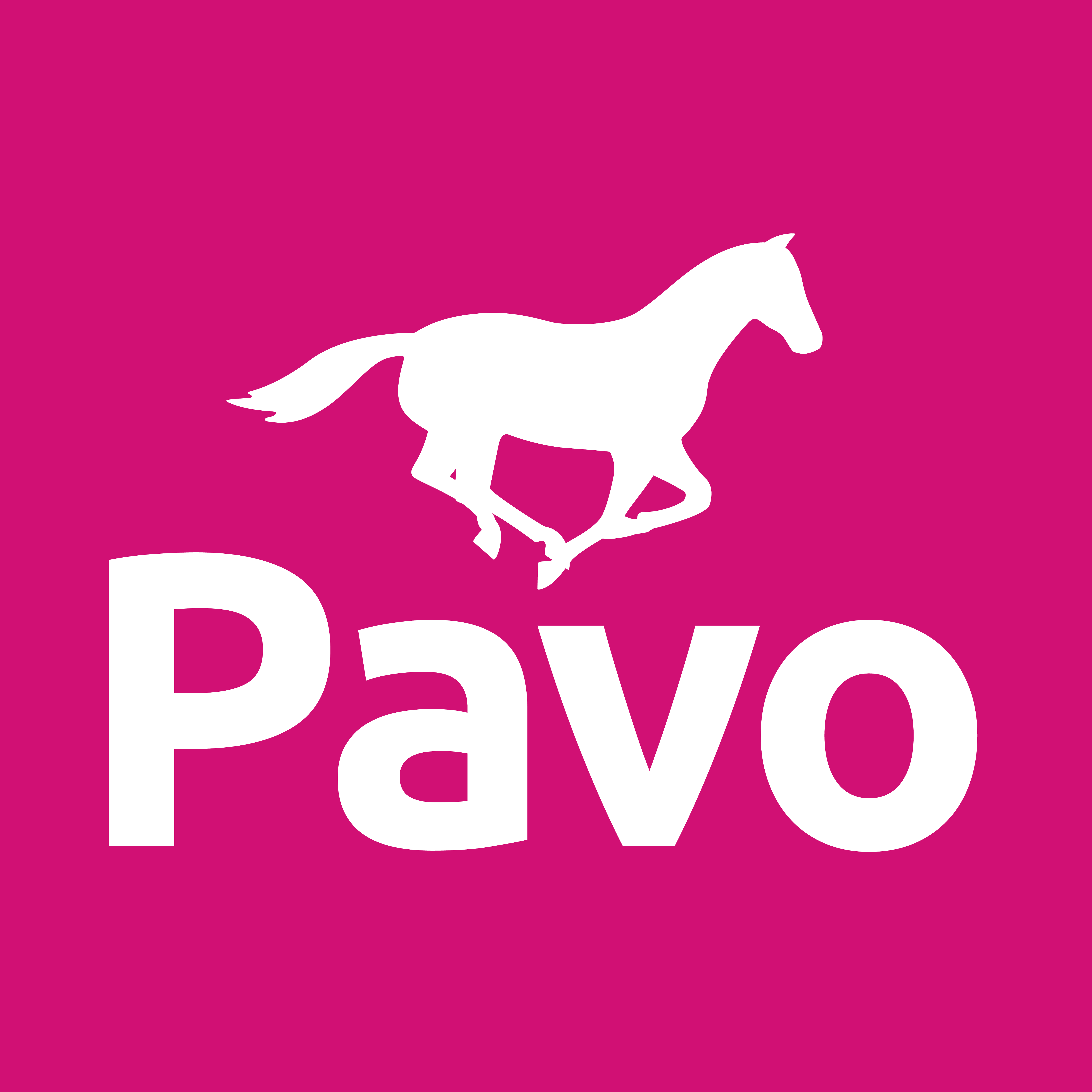 Bild - pavo