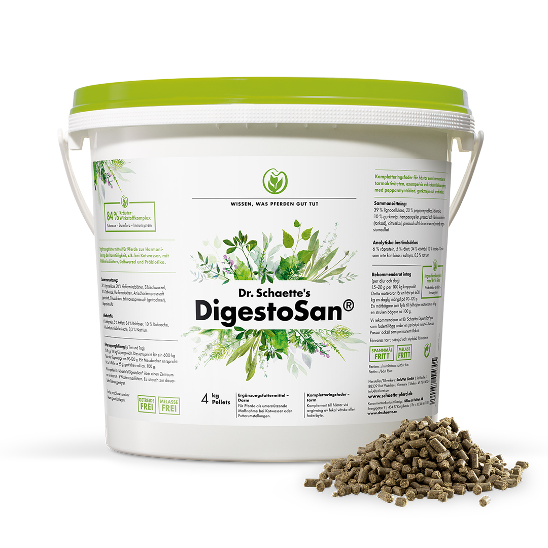 Produktansicht - Dr.Schaette - DigestoSan