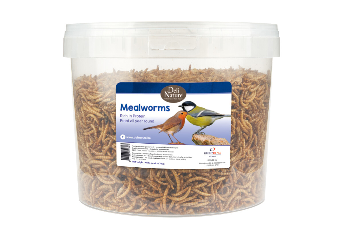 Produktansicht - Beyers - Deli Nature Mehlwürmer