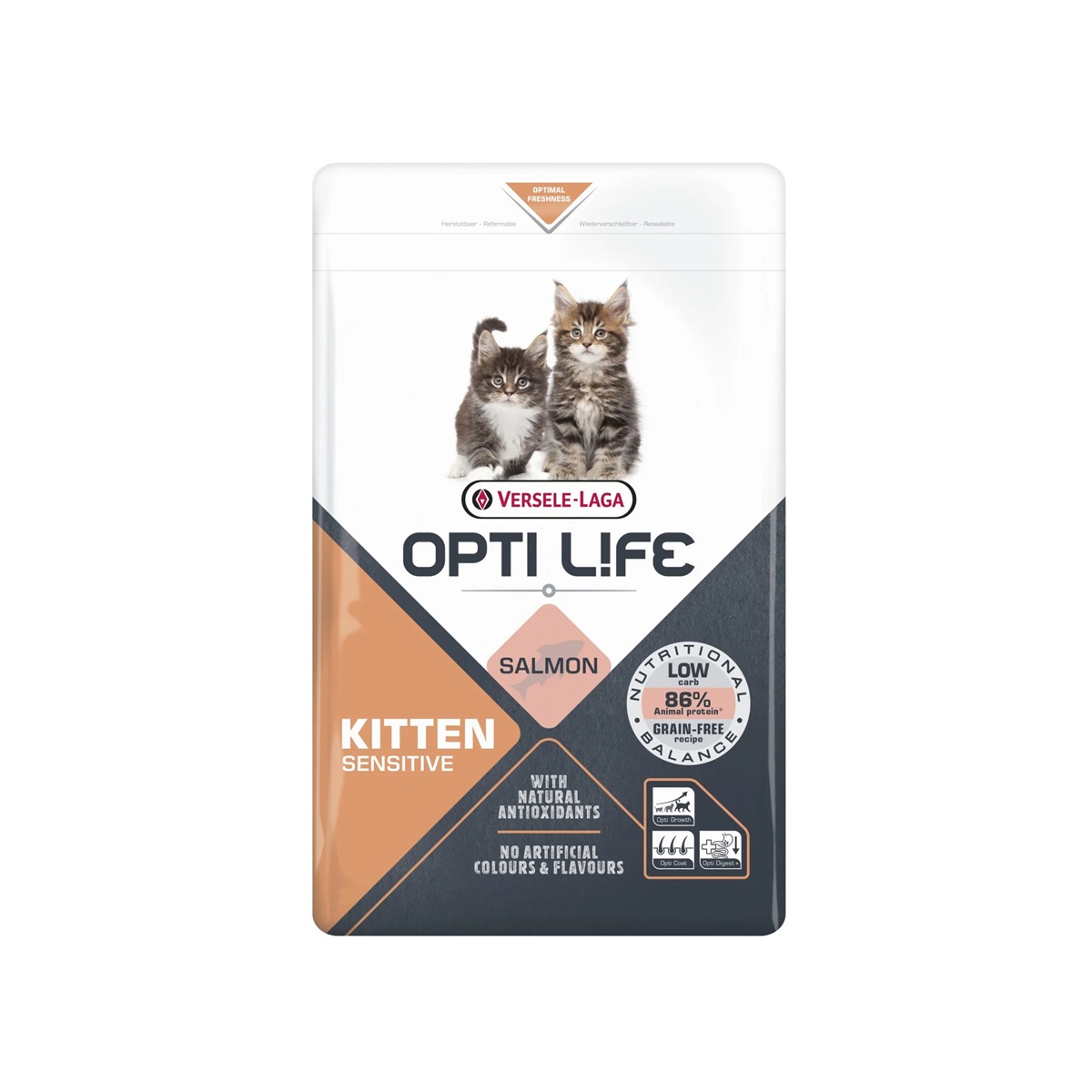 Cat Sensitive Kitten