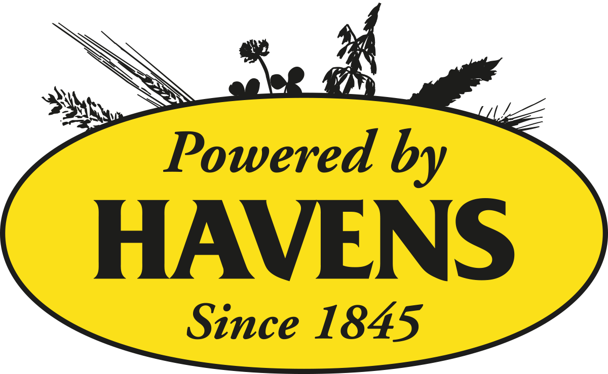 Bild - havens