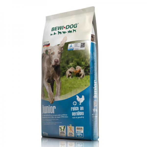 Produktansicht - BewiDog - Junior