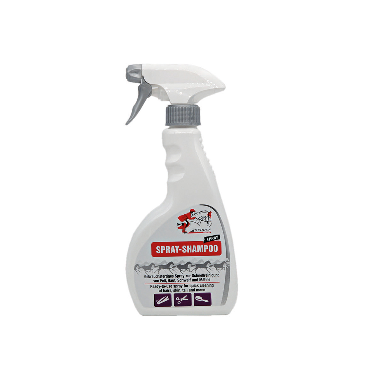 Spray Shampoo