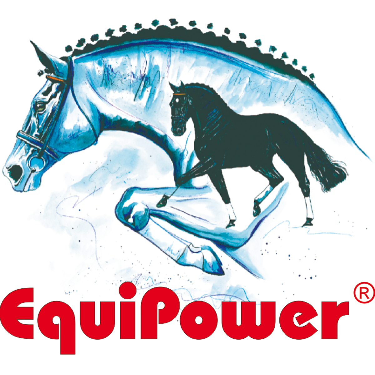 Bild - _logo-equipower_1200x1200