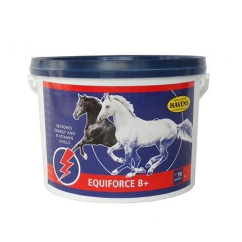 Produktansicht - Havens - Equiforce B+