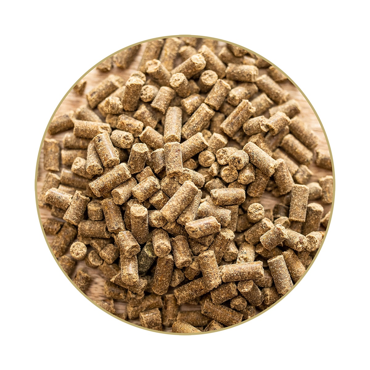 Magnesium B12