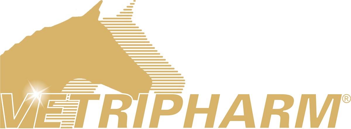 Bild - _logo-vetripharm-mit-schriftzug