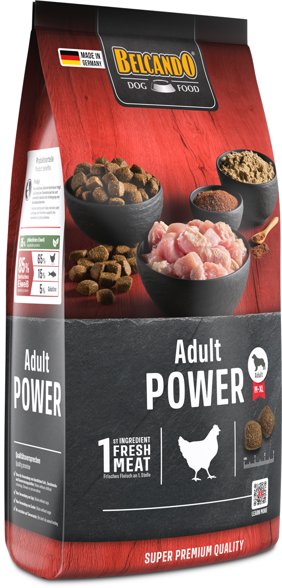 Adult Power