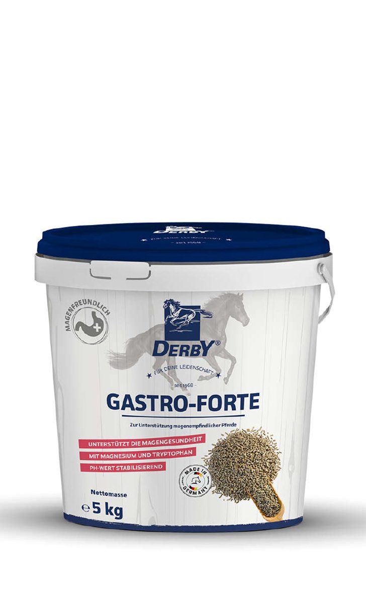 Produktansicht - Derby - Gastro Forte
