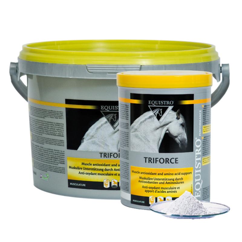 Produktansicht - EQUISTRO - Triforce