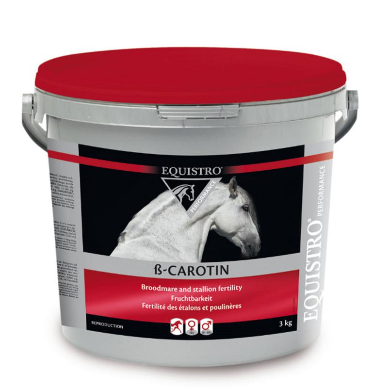 Produktansicht - EQUISTRO - ß-Carotin