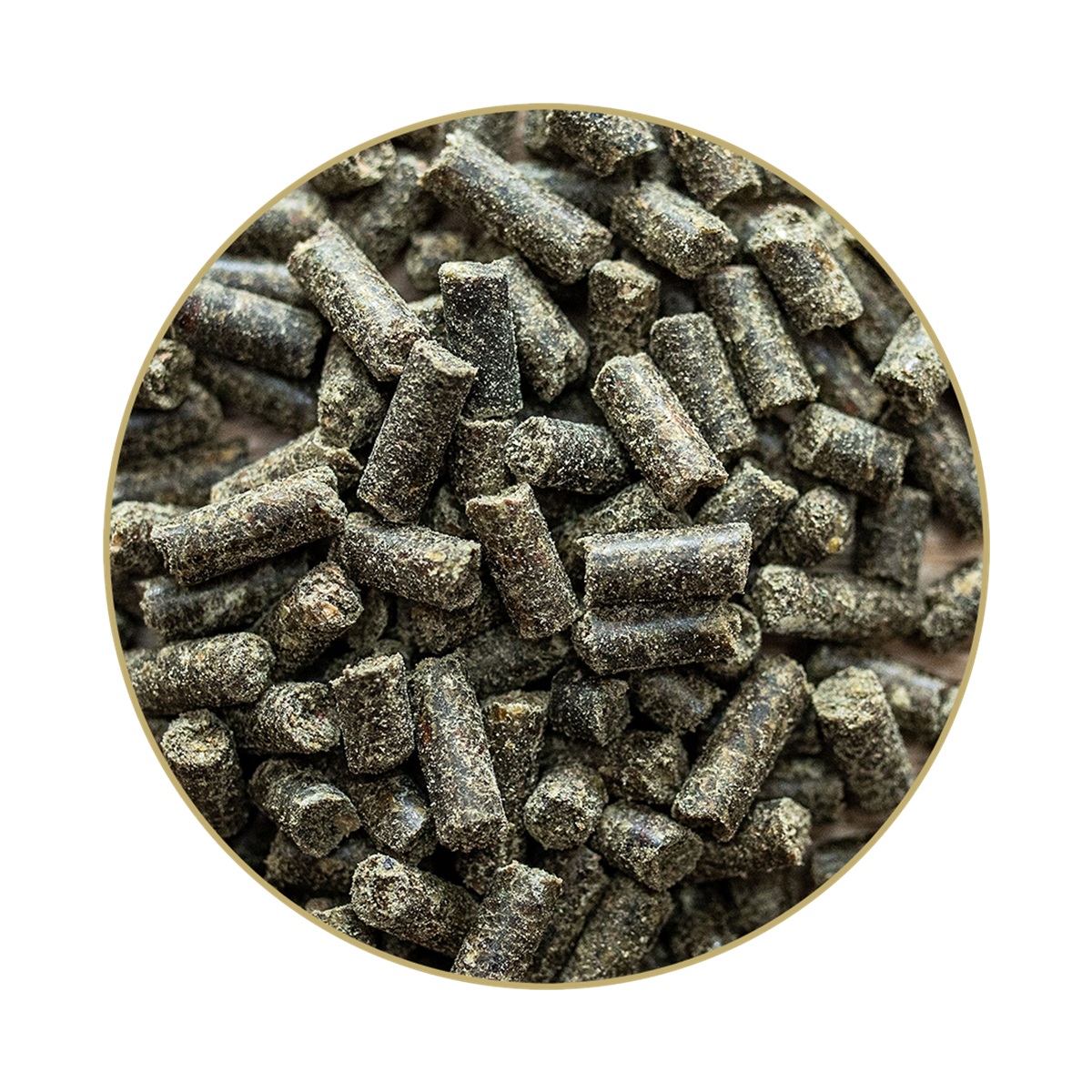 Produktansicht St. Hippolyt Movicur Detail