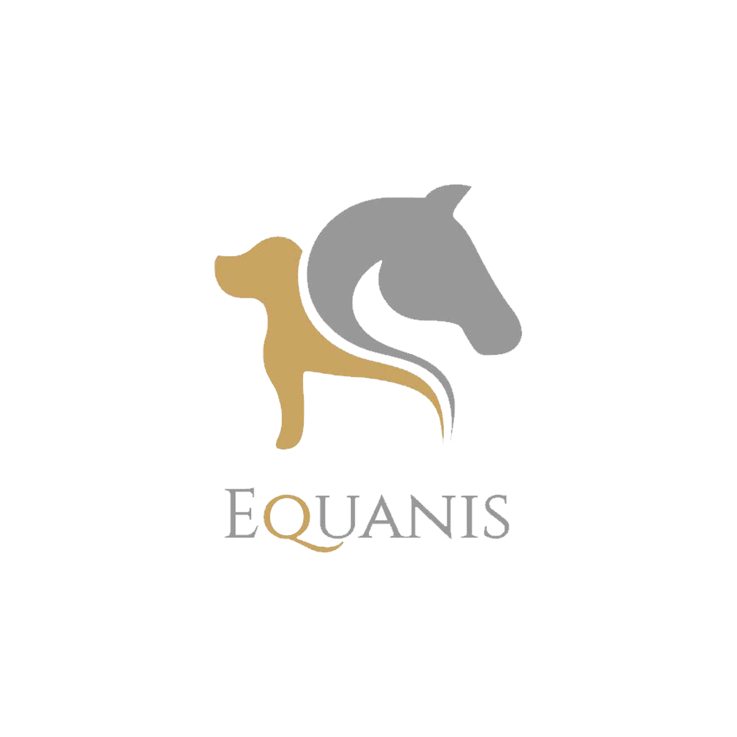 Bild - equanis-logo