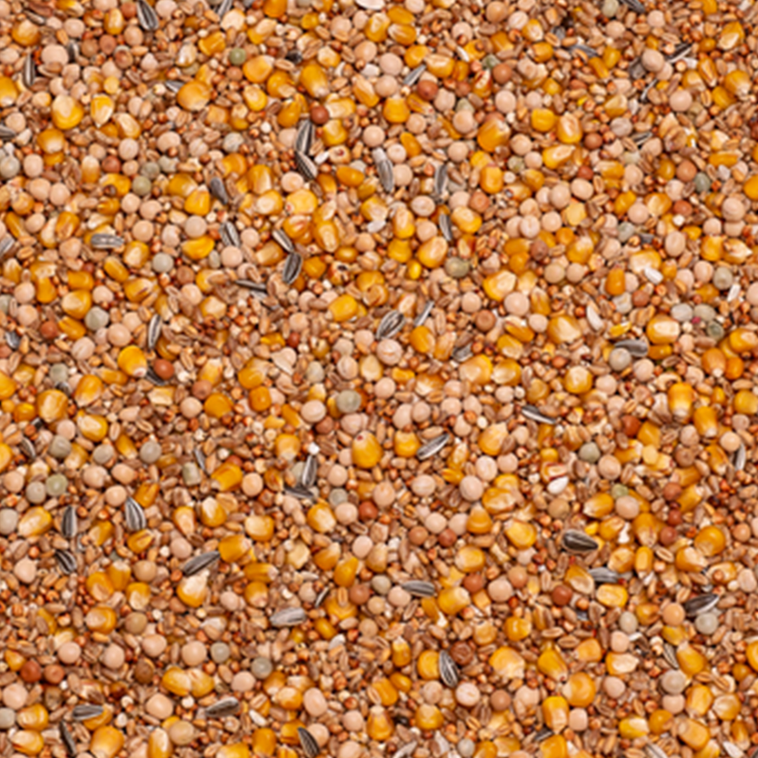 Produktansicht - Beyers - Basic Allround
