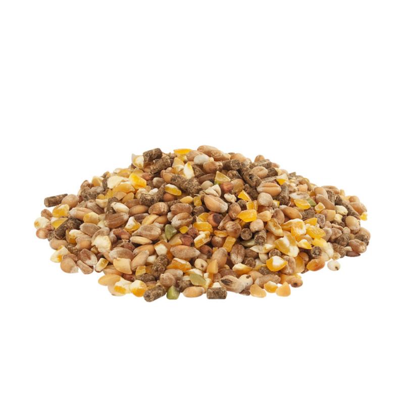 Versele-Laga Country's Best Gold 4 Mix Detailbild Legepellets