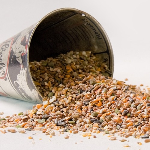 Landleben Körnerfutter Auslese Detailbild Futter in offener Dose