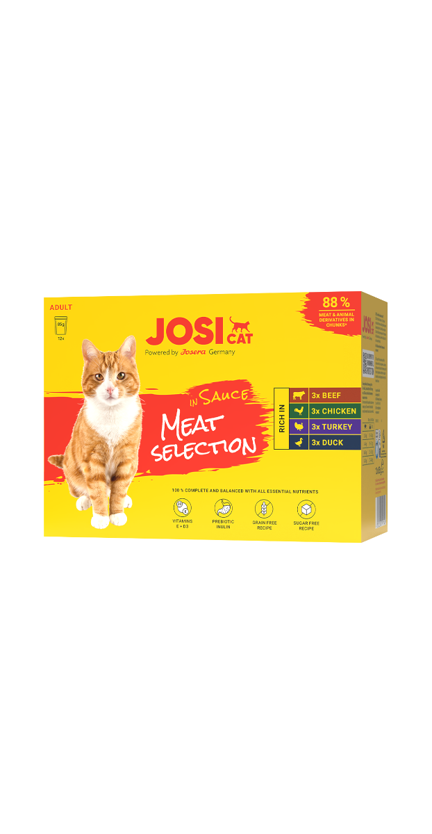 Multipack Meat Selection in sauce