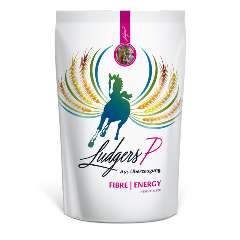 Ludgers P Fibre Energy