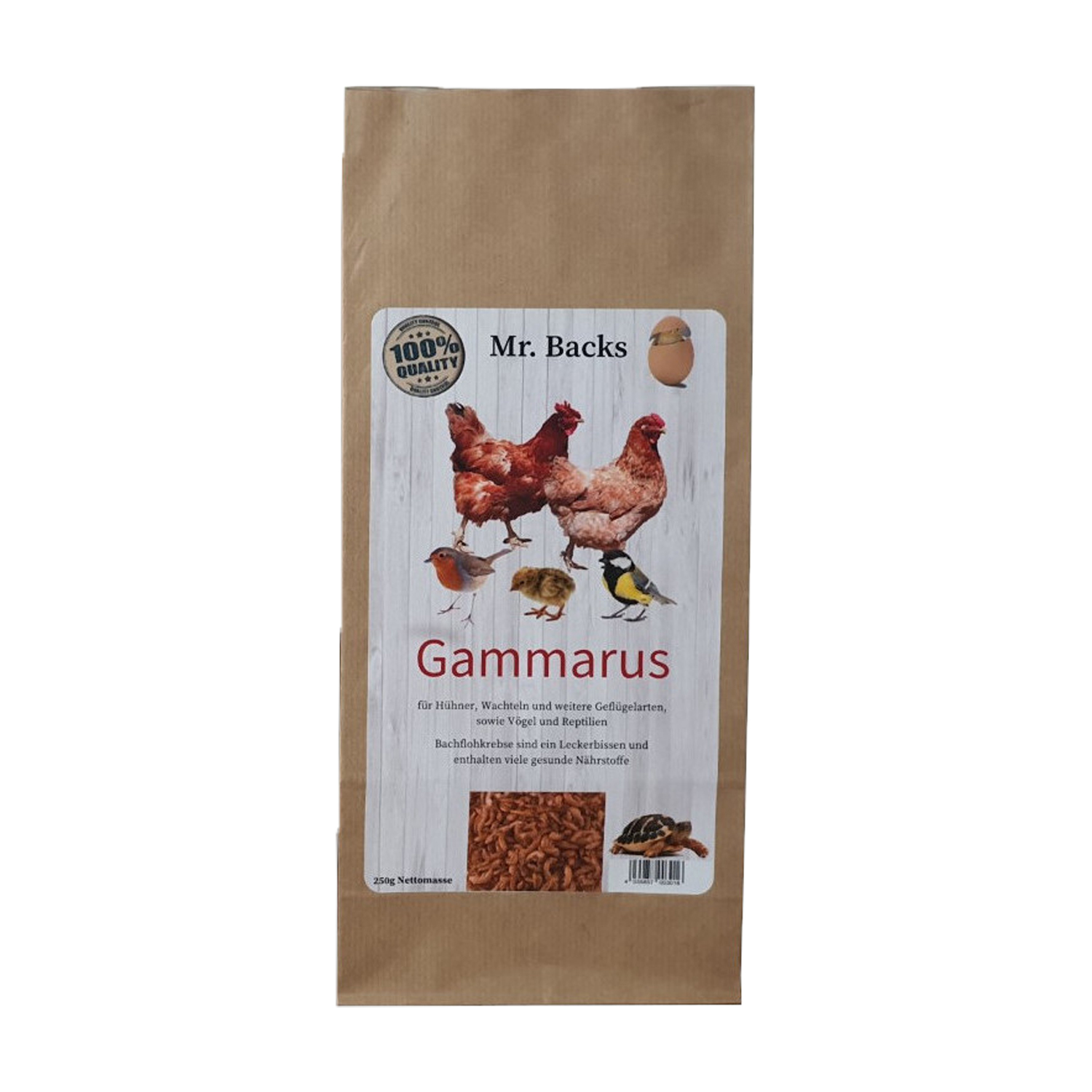 Mr. Backs Gammarus