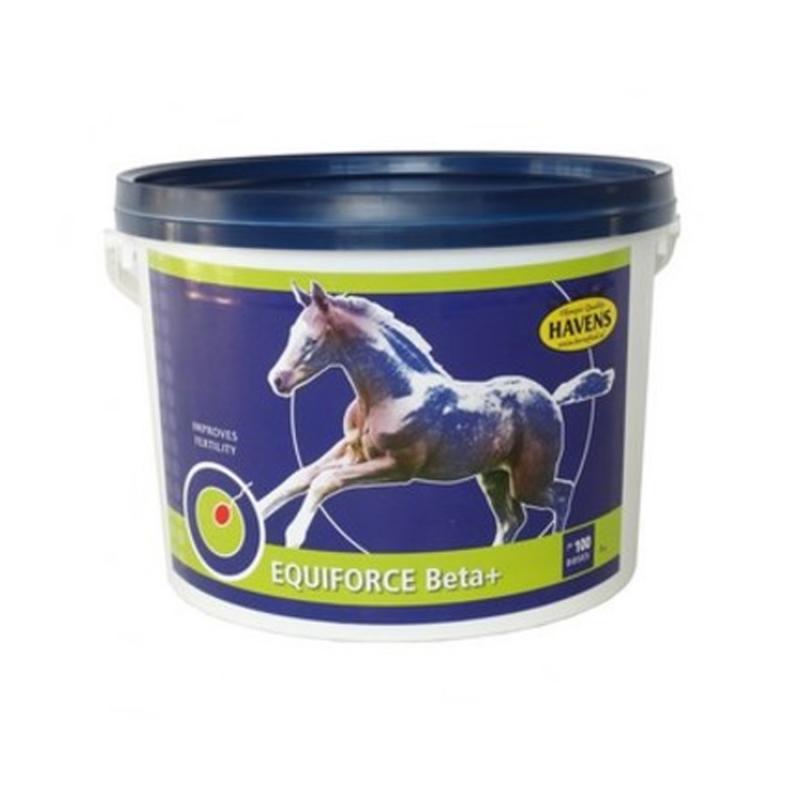 Havens Equiforce Beta+