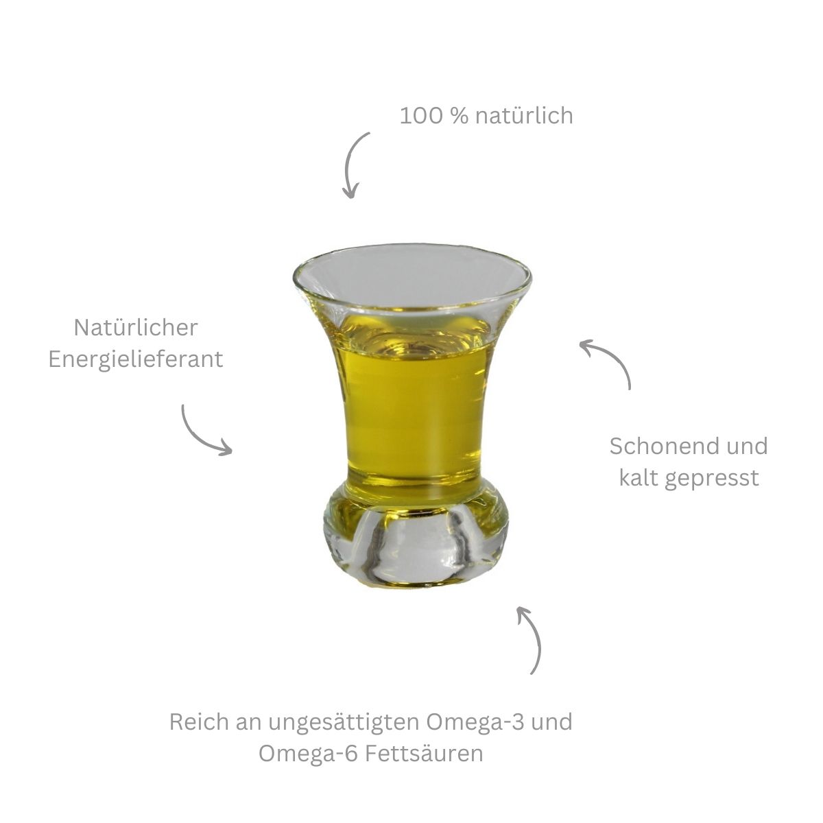 Ergänzungsfutter Öl für Pferde als Energie Lieferant für ein schönes Fell mit Omega-3 und Omega-6
