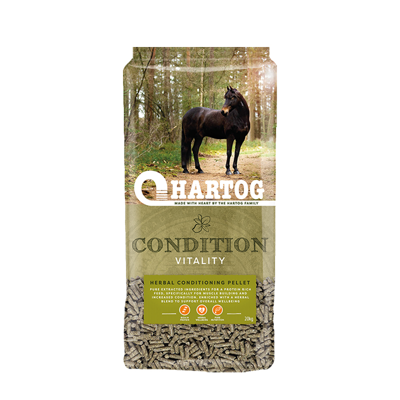 Hartog Condition