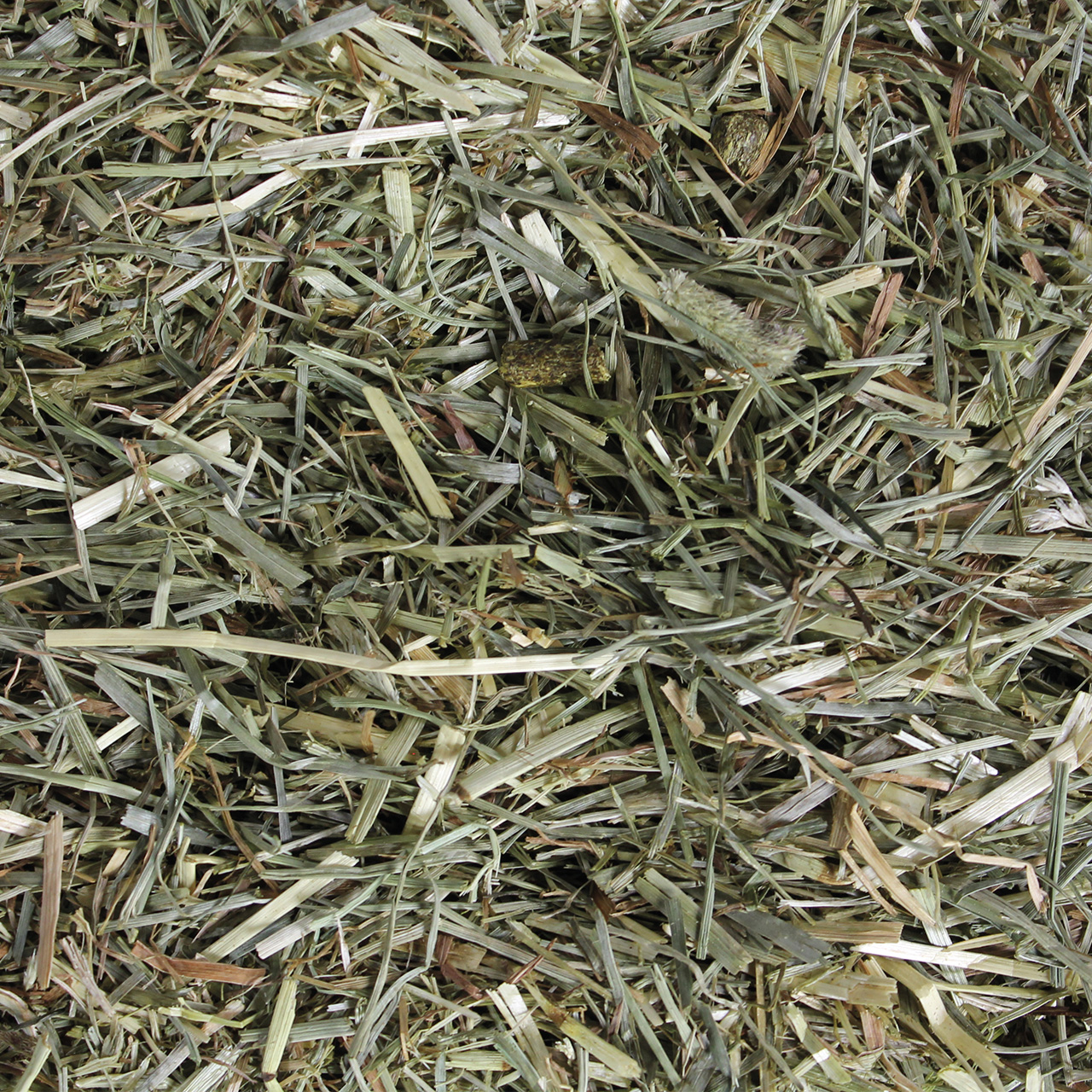 Louven Gras-Mix